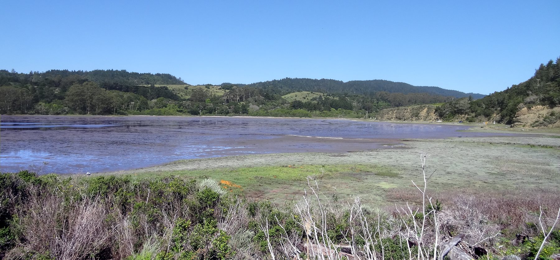 The birds love it, but I would not recommend going for a walk in the mud there.