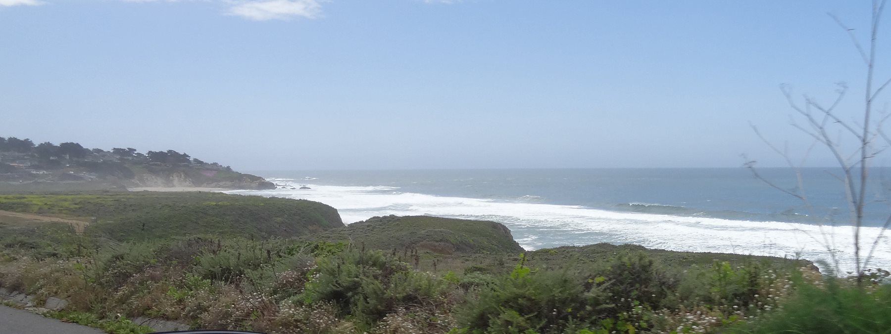 This is an endless shore. The battle line between the shore and land is held by the tough Ice Plants. 