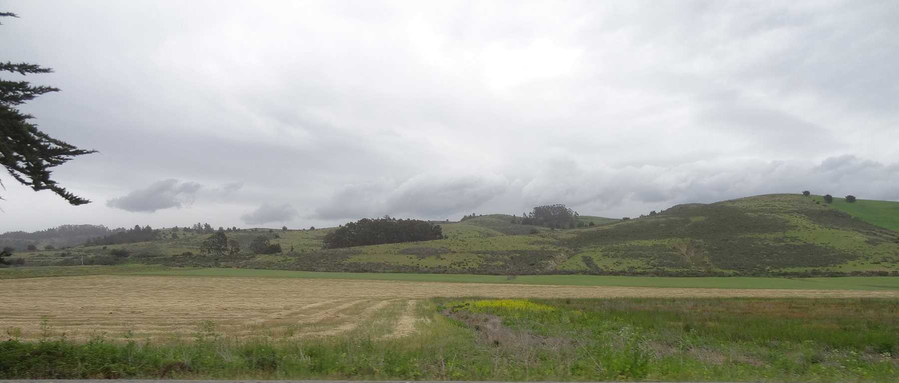 The land is the San Francisco Penninsula, a mountain range that extends from Salinas in the south to the Golden Gate. It is lush from the storms flowing from far off in the Pacific. The rains support farms and forests. Ancient Redwood groves thrive in the canyons here, protected for the enjoyment of the Bay Area residents.