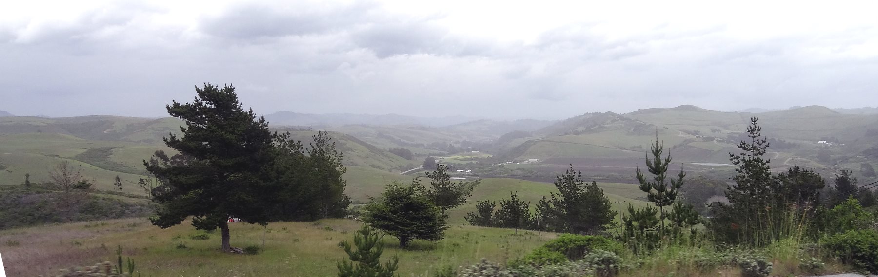 There are large valleys that go miles inland. They make one wonder "what is there". Actually, hidden from view are hundreds of greenhouses for growing flowers in the mild, moist weather.