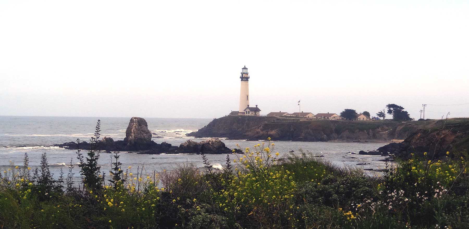 This was a great place for tidepooling. All kinds of things wash up on the shore.