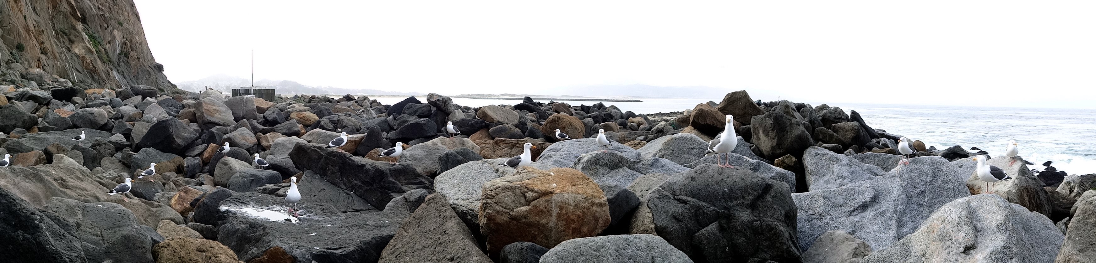 (Wide) Under Morro Rock with a few of my friends. Looking south past the harbor mouth towards Montagne De Oro.
