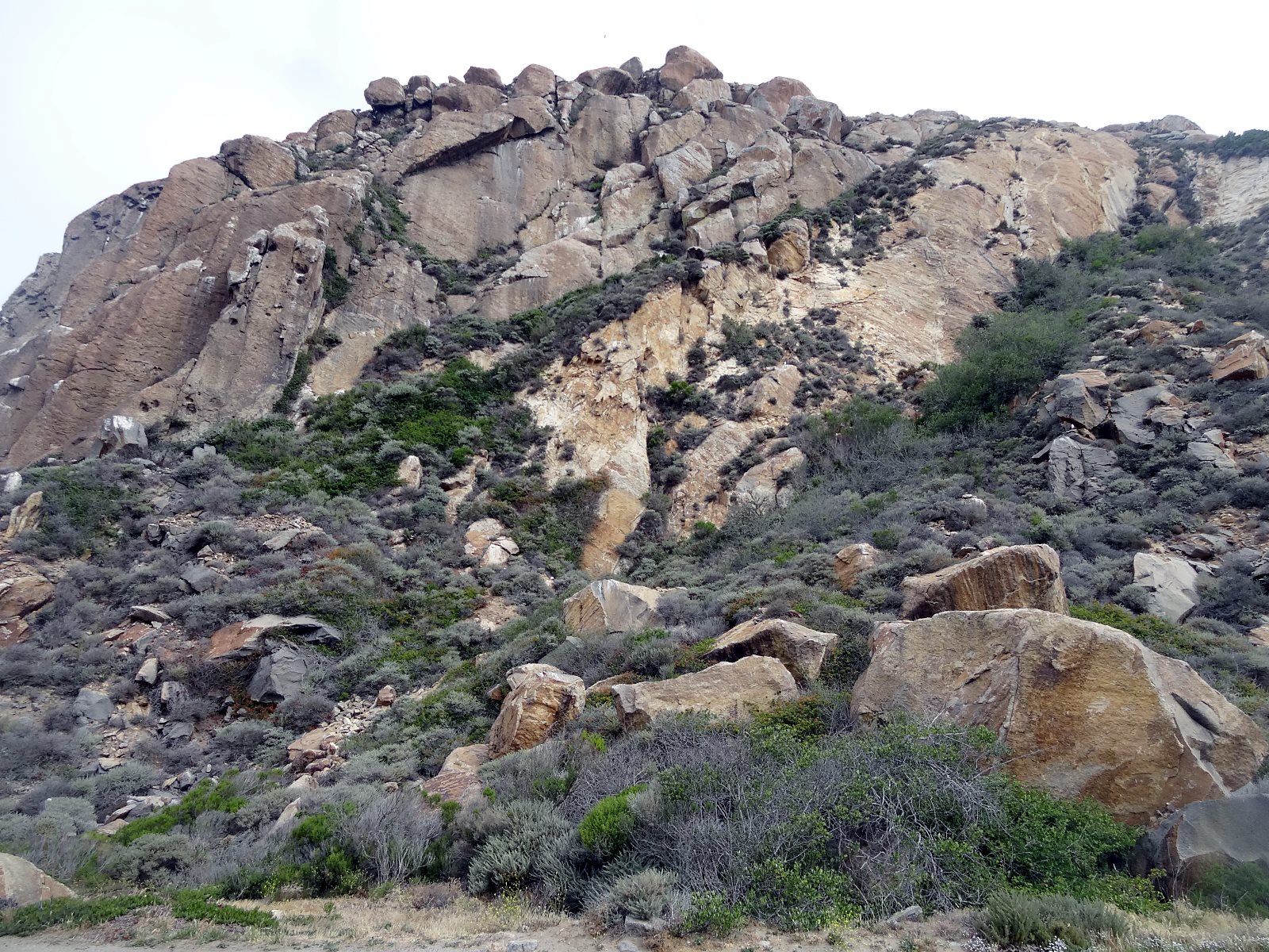 The tough jagged heart of an ancient volcano.