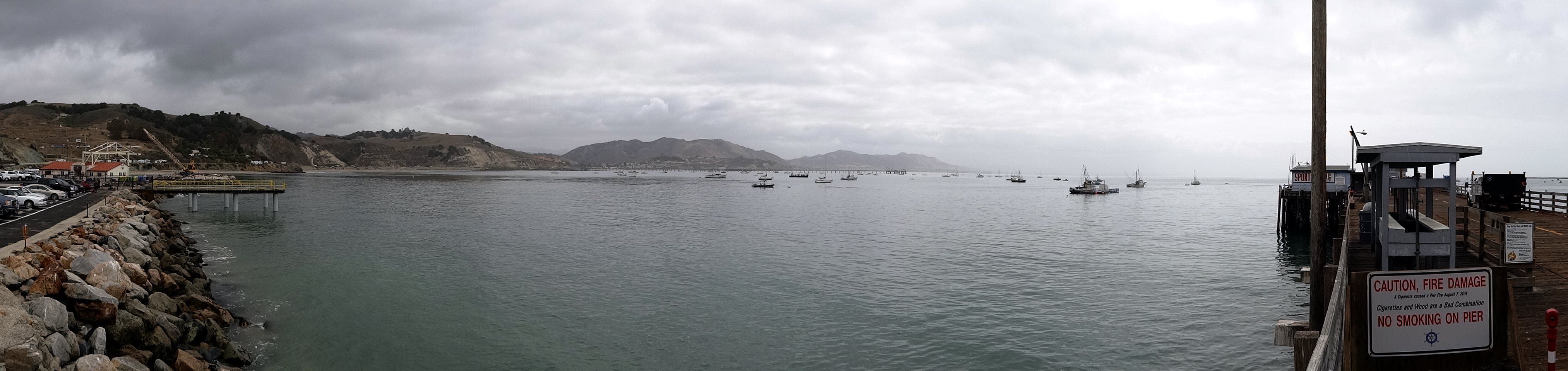 This is at the base of the pier at Port San Luis about 10 miles south of Morro Bay on the other side of Montagne de Oro. Neat place. Dale and I used to launch his boat out of here so I could dive and he could fish. I did a lot of exploring.