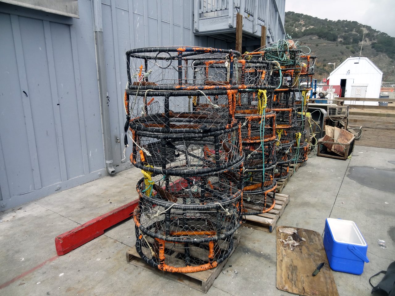 This is a huge area of vital reefs. Thousands of crabpots are set. This area has always been a rich source of sea food.