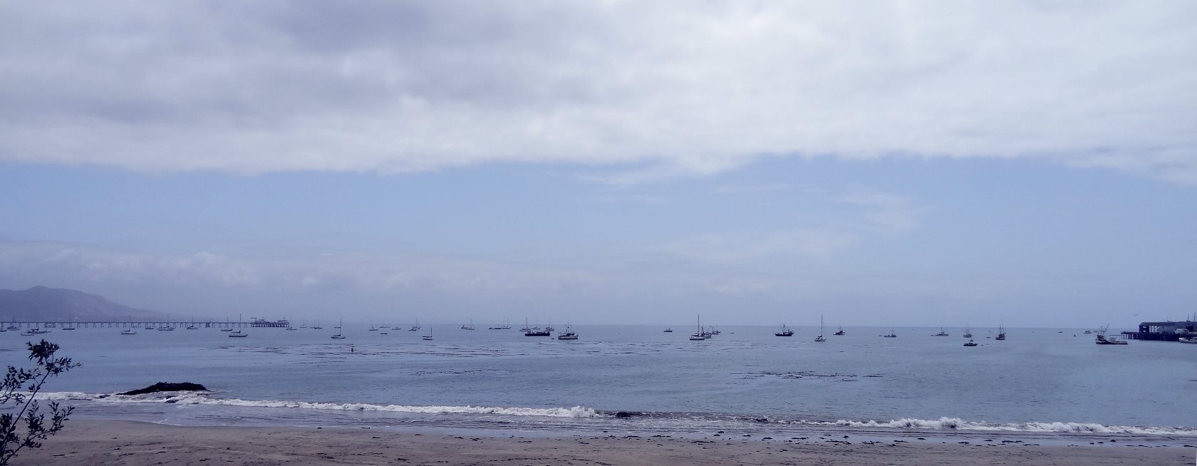 Even in the bay, there are kelp beds. The vis isn't great, but the classes go there. This is a big oil port. I can't imagine how rich the sea life must have been 100 years ago.