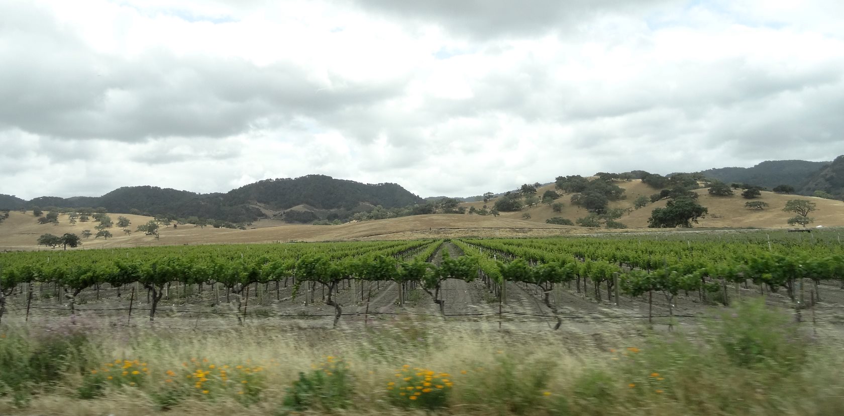 Past Santa Maria are the Santa Ynez Mountains that extend from the coast at Point Arguello south behind Santa Barbara to Ventura.