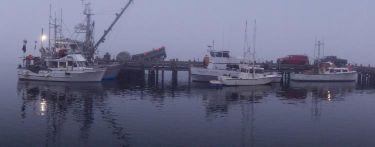 Morro Bay Dock in the Fog