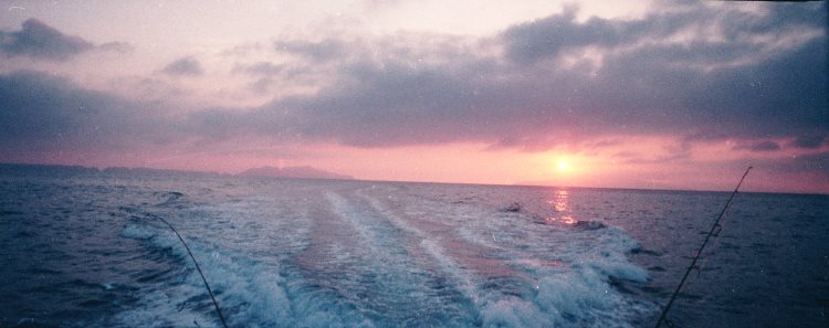 Morro Bay Dock in the Fog