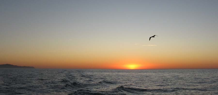 Sunrise Santa Rosa Island