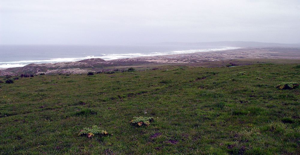 Point Reyes