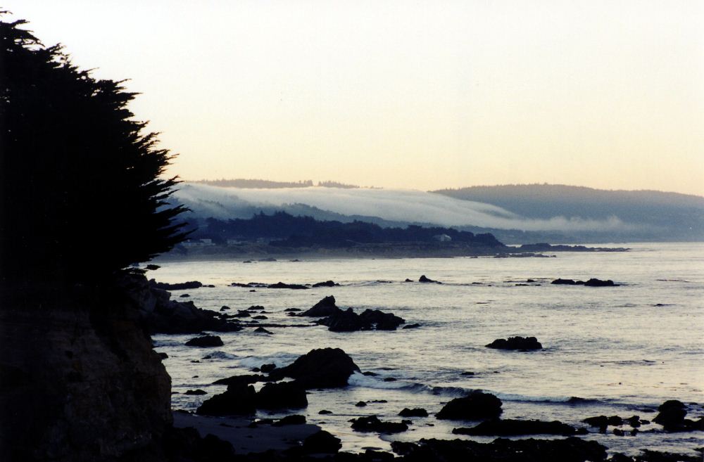 Sea Ranch