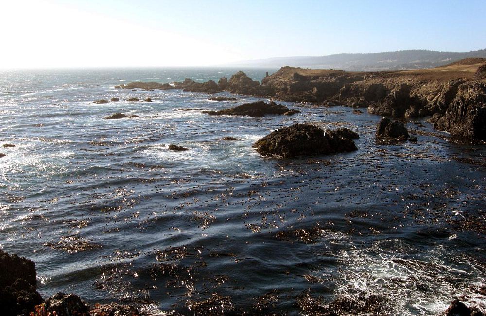 Sea Ranch