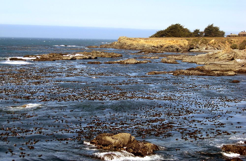 Sea Ranch