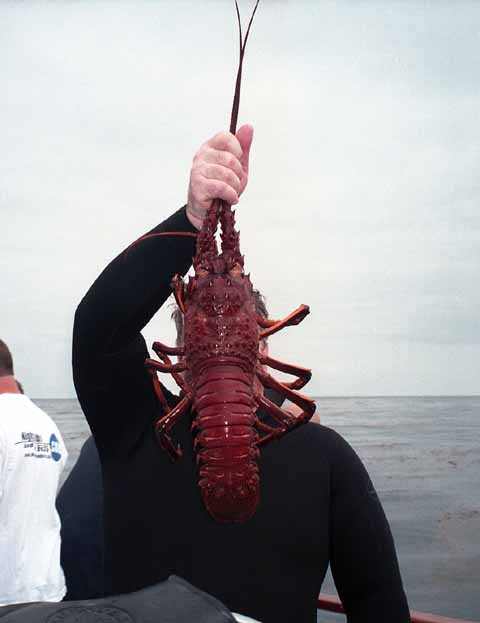 I picked up a nice bug as well