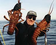 Shel says - It's Just What I Do