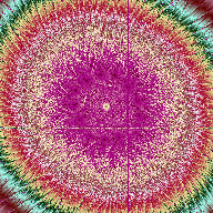 The cardoon's flower,  466K