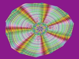 Petrified log slice,  233K