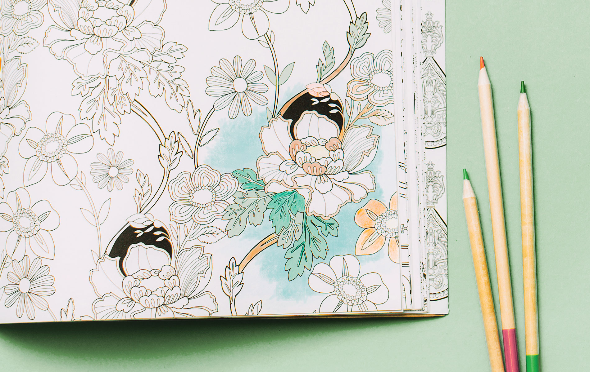 The Latest Craze Colouring Your World