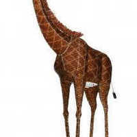 Mpc_giraffe_profile