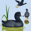M_8ea525f8588face2cb776ca8175601ad_sq_64