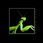 625450001_m_sq_90