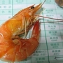 Shrimp_sq_90