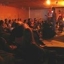 Real_live_tigers_sq_64