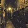 The_cellar_door_sq_90