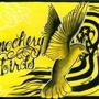 Mockery_birds_sq_90