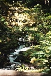 M_b98fc6c4132f2bcd0ee7075299e8039b_poster