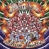 Divine Universe