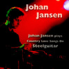 Country Love Songs On Steel Guitar