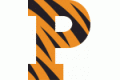Princeton University