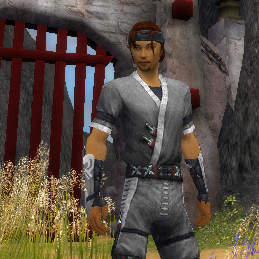 Guild Wars: Faction Avatar