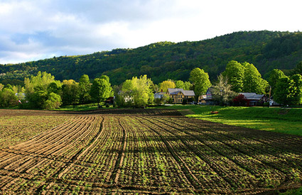 Spring_1