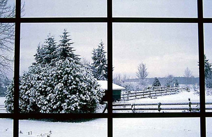 winter_1