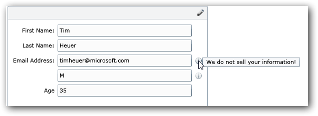 DataForm with Display Attributes DataForm with Display Attributes