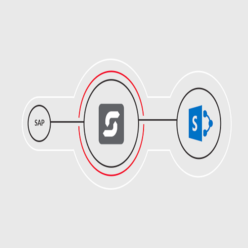 ERPConnect Services