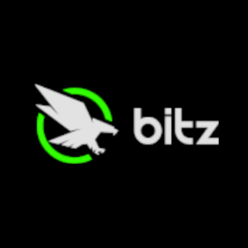 Bitz Hotel