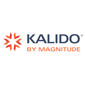 Kalido BIM
