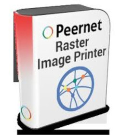 Raster Image Printer