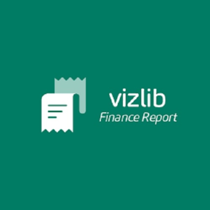 Vizlib Finance Report