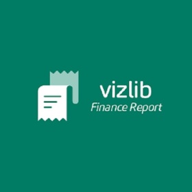 Vizlib Finance Report