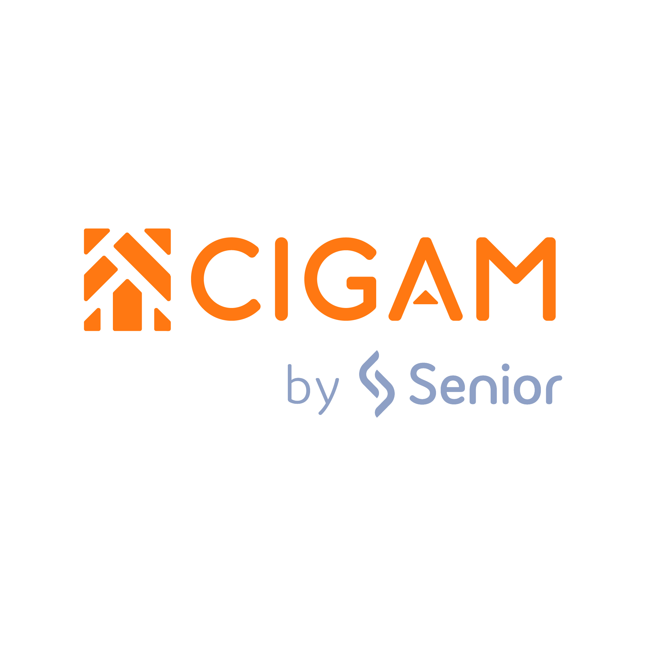 ERP CIGAM