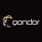 Qondor