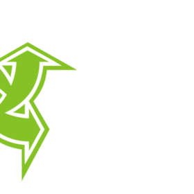 Websis