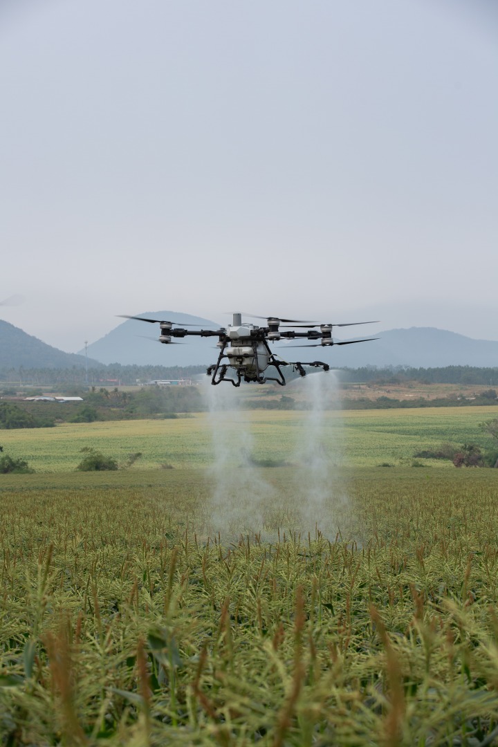 Product features 1 image 1756214175274 0s3b2612