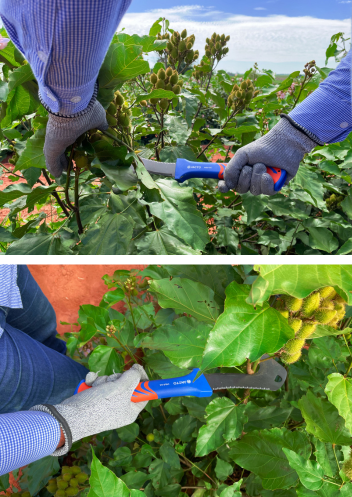 Product features 2 image 1774893534626 2 imagens 1