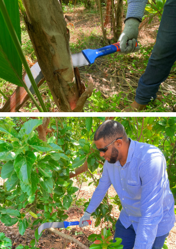 Product features 3 image 1774893534626 2 imagens 2